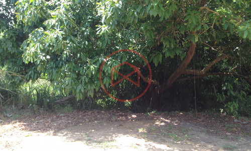 Terreno próximo ao centro de Ibiuna