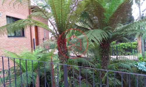 Chácara em Condomínio Fechado antes do centro! Interior de SP