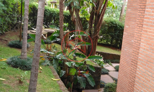 Chácara em Condomínio Fechado antes do centro! Interior de SP