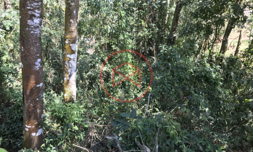 Lote em Condomínio Fechado!!