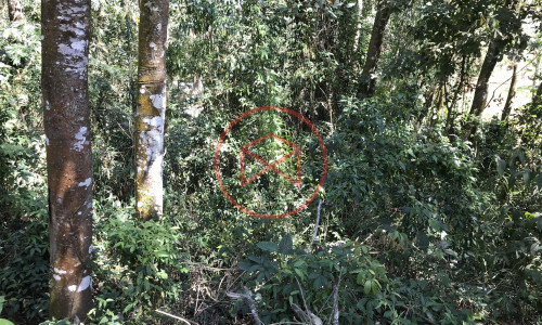 Lote em Condomínio Fechado!!