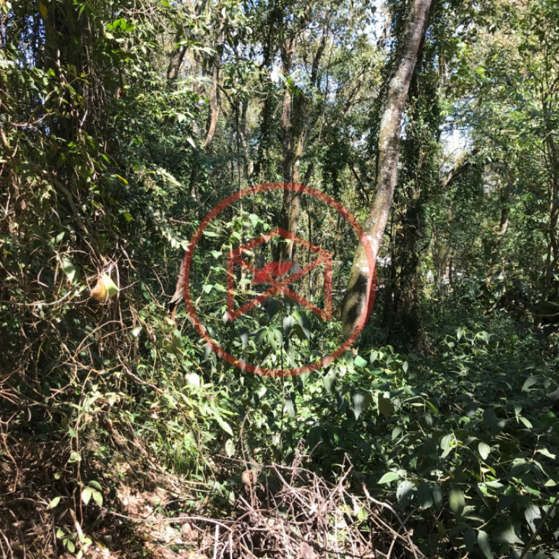 Lote em Condomínio Fechado!! Interior de SP