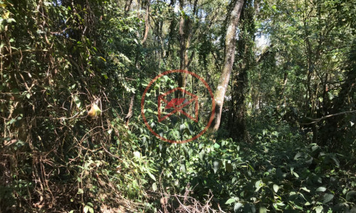 Lote em Condomínio Fechado!! Interior de SP