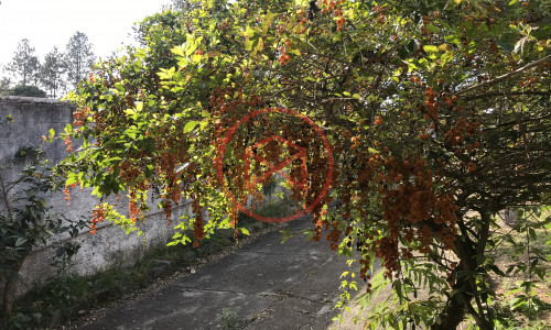 Chácara em Condomínio Antes do Centro!! Interior de SP