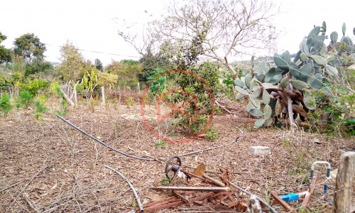 CHÁCARA EM IBIUNA COM 6.967 MTS