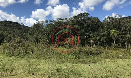 Lote antes do centro!