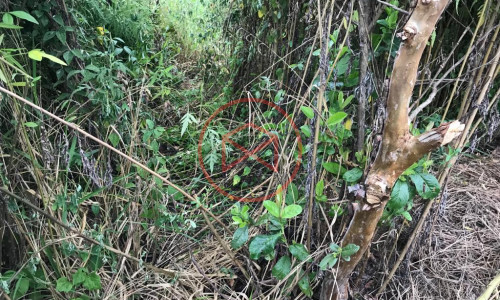 Lote em Loteamento Aberto Ibiúna!!