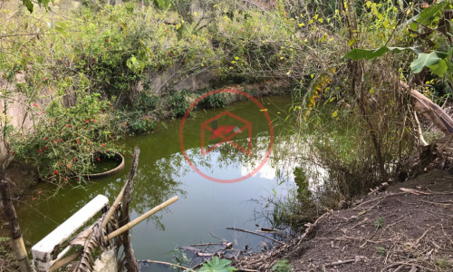 Chácara em Condomínio Fechado!! Interior de SP