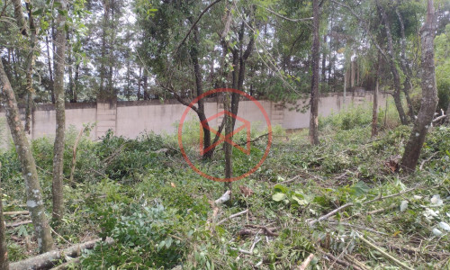 Lote próximo a represa de Ibiúna