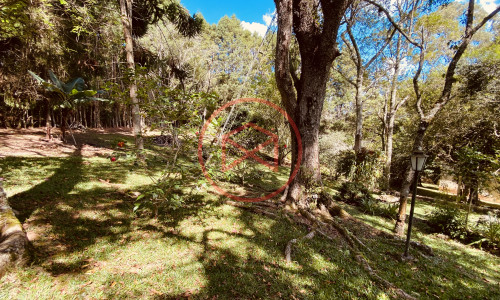 Chácara em Loteamento em Ibiúna!!