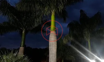 Chácara em Condomínio Fechado Próximo do Centro de Ibiúna!!