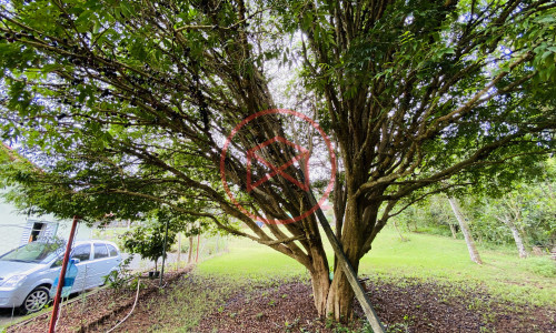 Chácara em Ibiúna! Interior de SP