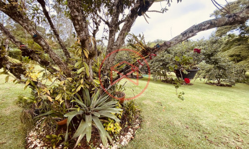 Chácara em Condomínio com 5.000 mts Antes do Centro!!