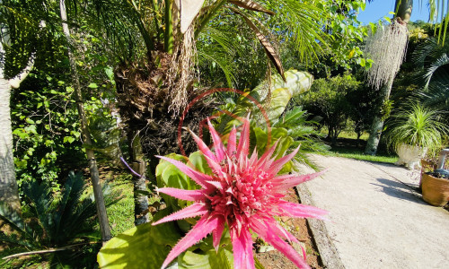 Chácara em Ibiúna!! Interior de SP
