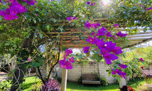 Chácara em Ibiúna!! Interior de SP