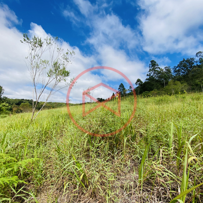 Terreno de 1 alqueire a 500mts do alfalto!