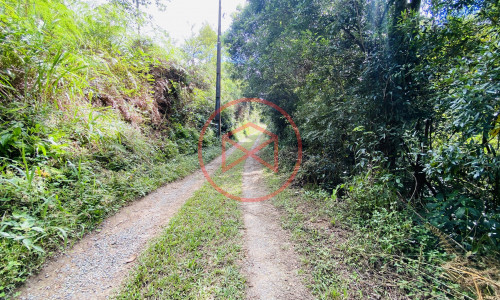 Terreno de 1 alqueire a 500mts do alfalto!