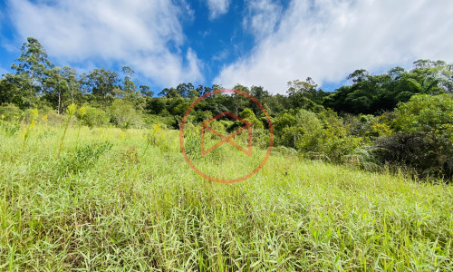 Terreno de 1 alqueire a 500mts do alfalto!