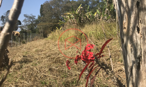 Lote próximo ao centro !!