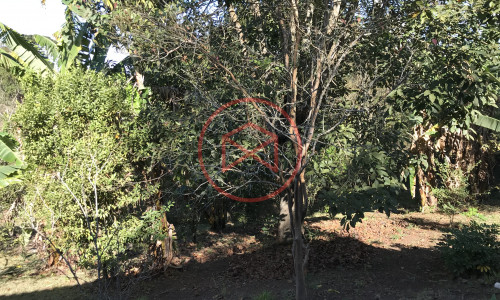 Chácara Antes do Centro de Ibiuna!!