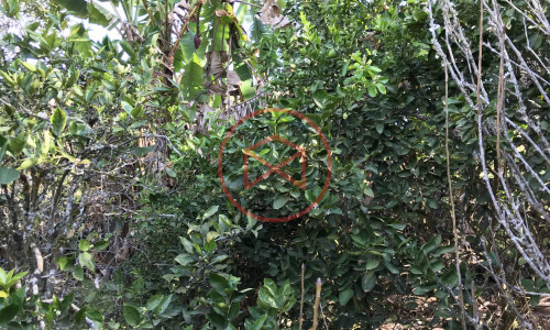 Chácara Antes do Centro de Ibiuna!!