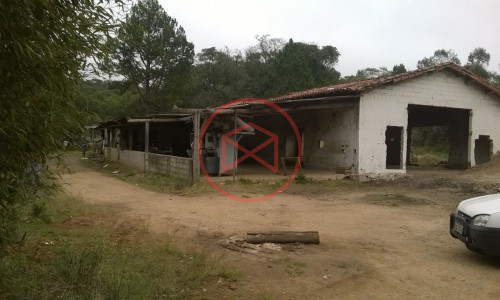 Sítio em Piedade !!