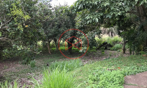 Chácara em Condomínio Antes do Centro de Ibiúna