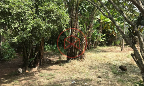 Chácara Antes do Centro de Ibiúna!