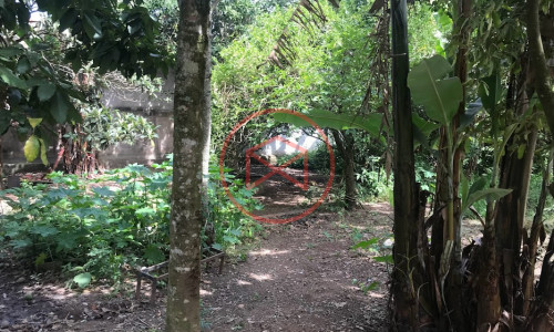 Chácara Antes do Centro de Ibiúna!