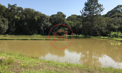 Chácara em Ibiúna local Nobre!