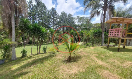 Sítio com 30 mil mts² em Ibiuna!!!