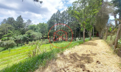 Sítio com 30 mil mts² em Ibiuna!!!