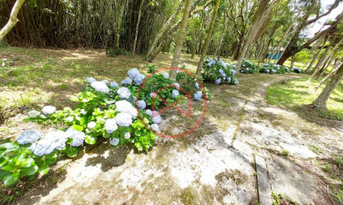 Sítio com 30 mil mts² em Ibiuna!!!