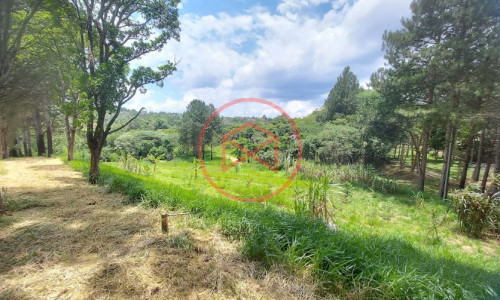 Sítio com 30 mil mts² em Ibiuna!!!