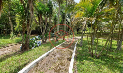 Sítio com 30 mil mts² em Ibiuna!!!