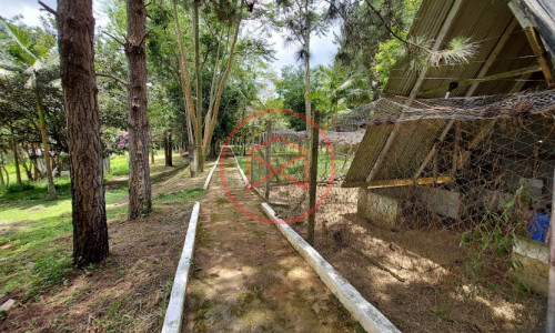 Sítio com 30 mil mts² em Ibiuna!!!