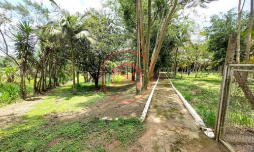 Sítio com 30 mil mts² em Ibiuna!!!