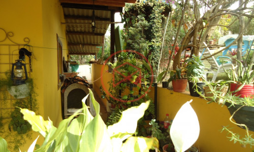 Chácara Próximo do Centro de Ibiuna!!