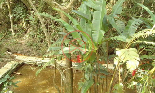 Chácara Próximo do Centro de Ibiuna!!