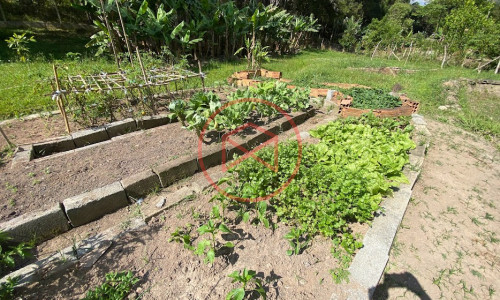 Chácara em Ibiúna!!