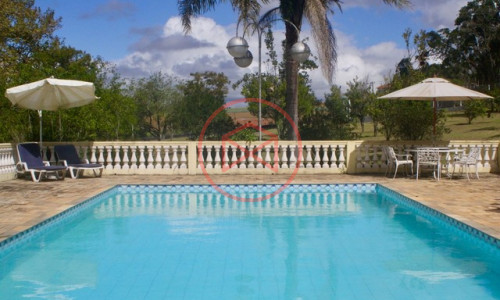 Haras Completo em Ibiúna na beira do asfalto!