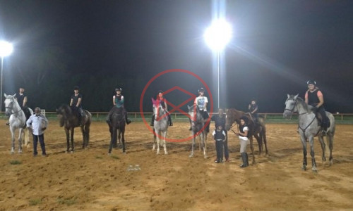 Haras Completo em Ibiúna na beira do asfalto!