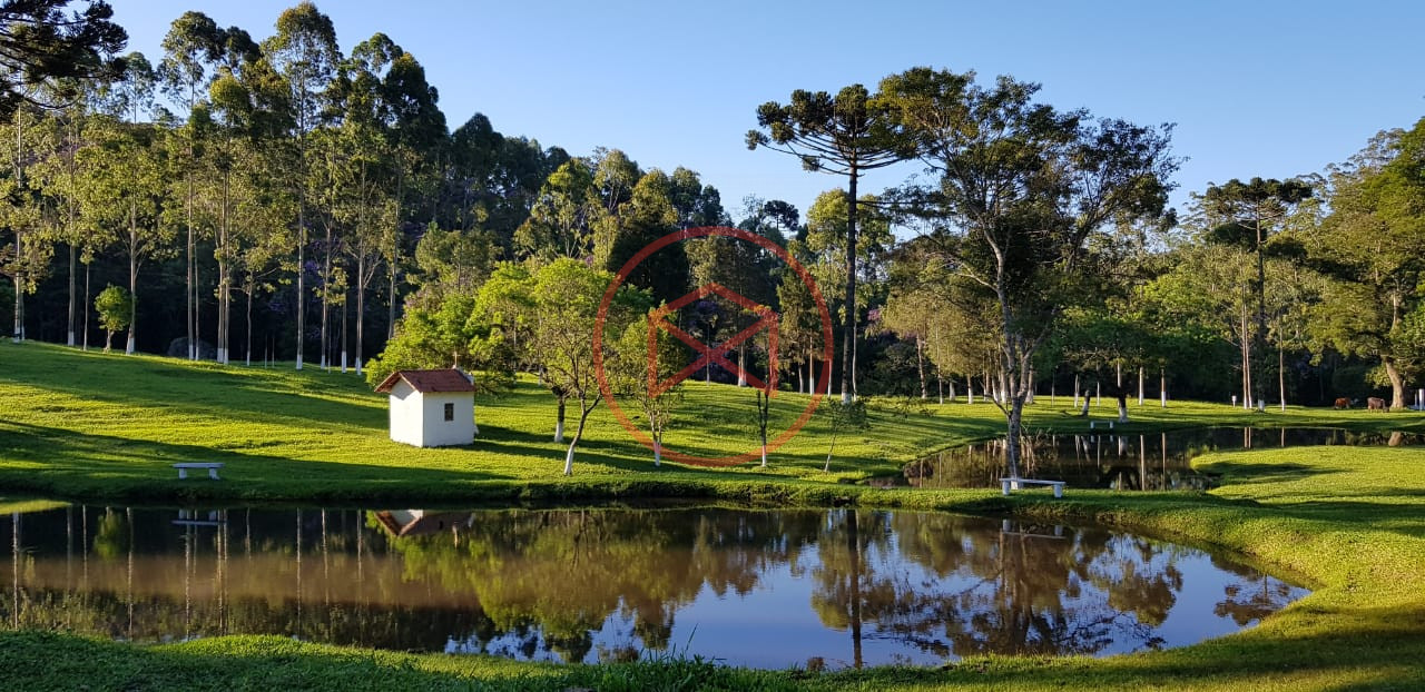 Sítio com 7 alqueires antes do Centro de Ibiuna!!