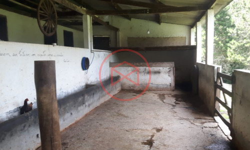 Sítio com 7 alqueires antes do Centro de Ibiuna!!