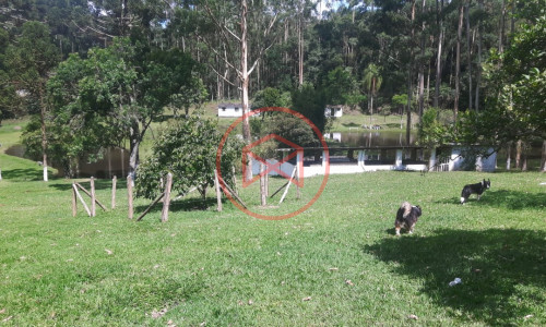 Sítio com 7 alqueires antes do Centro de Ibiuna!!