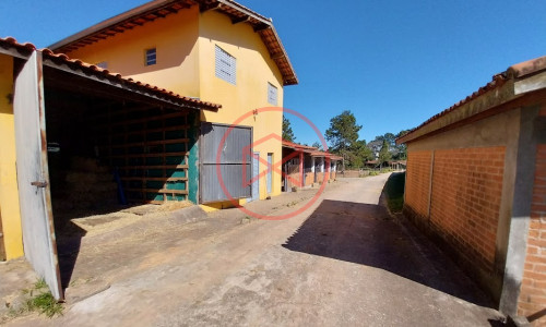 Haras Completo em Ibiúna!