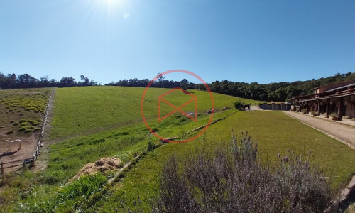 Haras Completo em Ibiúna!