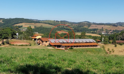 Haras Completo em Ibiúna!