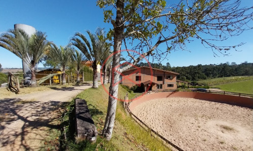 Haras Completo em Ibiúna!