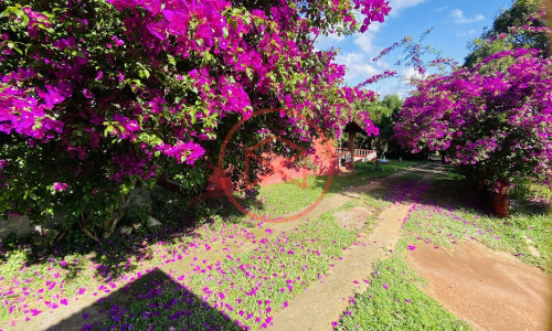 Chácara Antes do Centro de Ibiúna!!